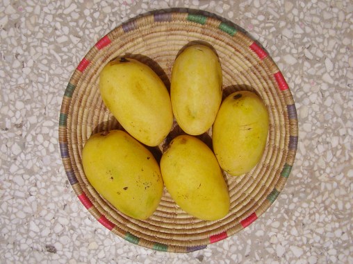 PAK Mango Bazar: Mango Producers and Sellers